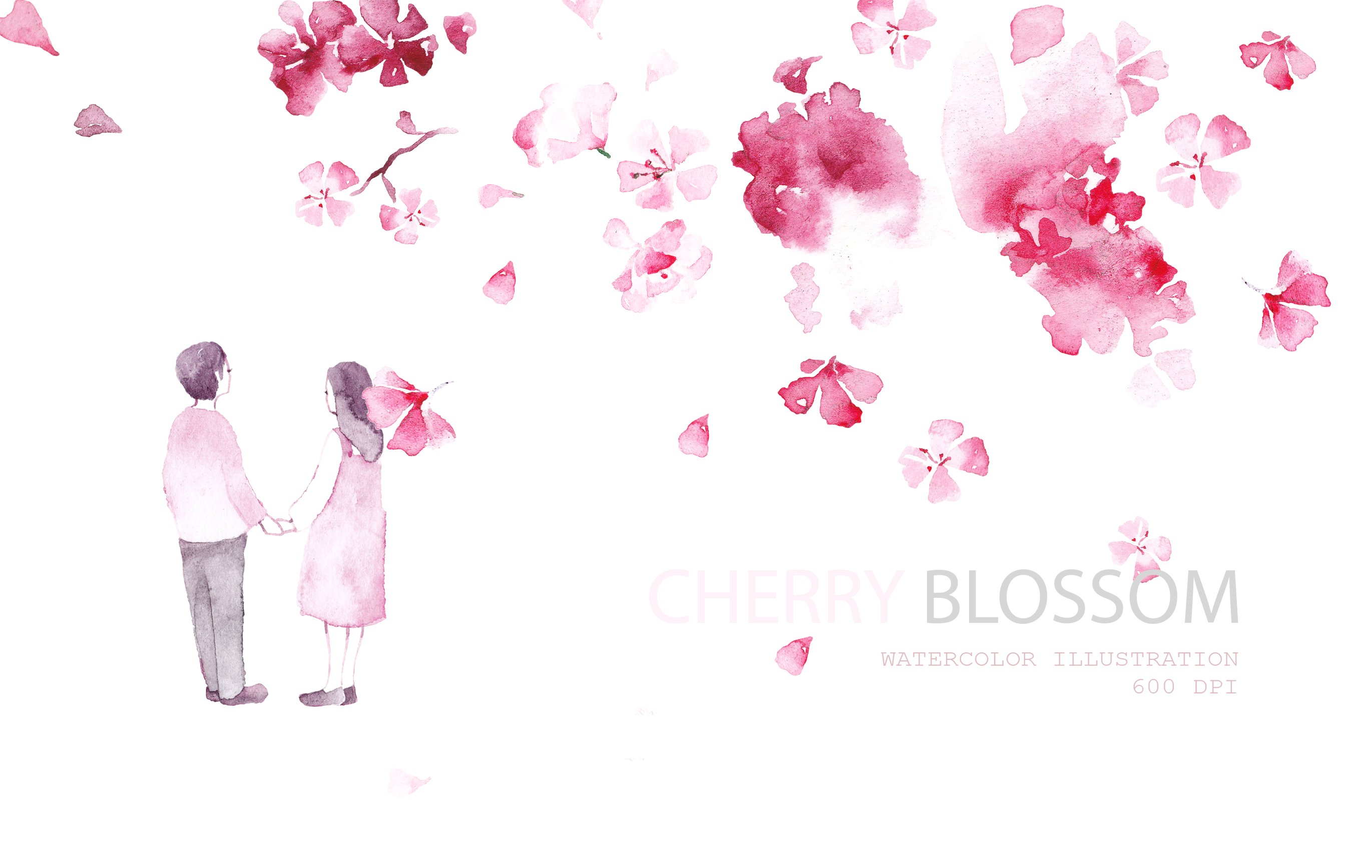 Cherry blossom cover image.