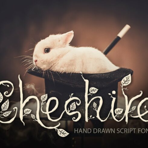Cheshire. Magic script font. cover image.