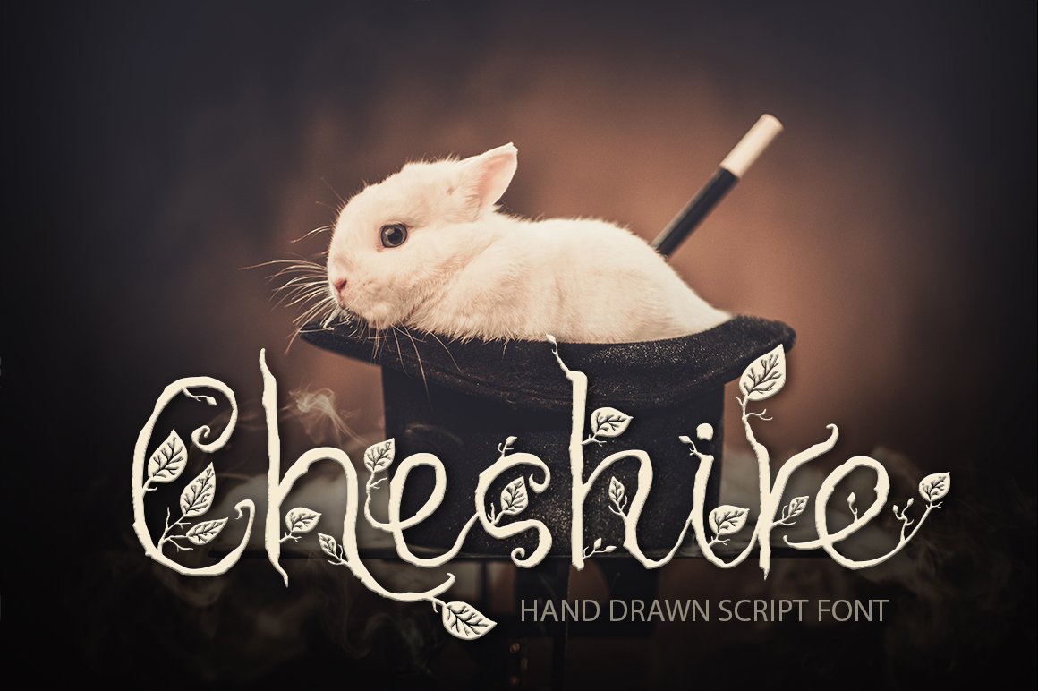 Cheshire. Magic script font. cover image.