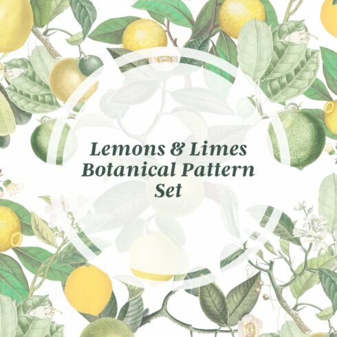 Lemons & Limes Botanical Pattern Set cover image.