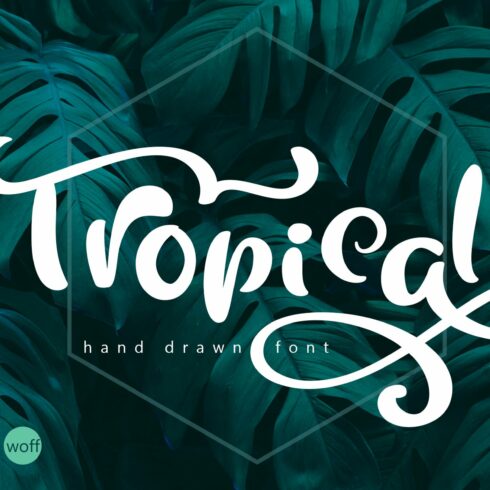 Tropical Summer Font cover image.