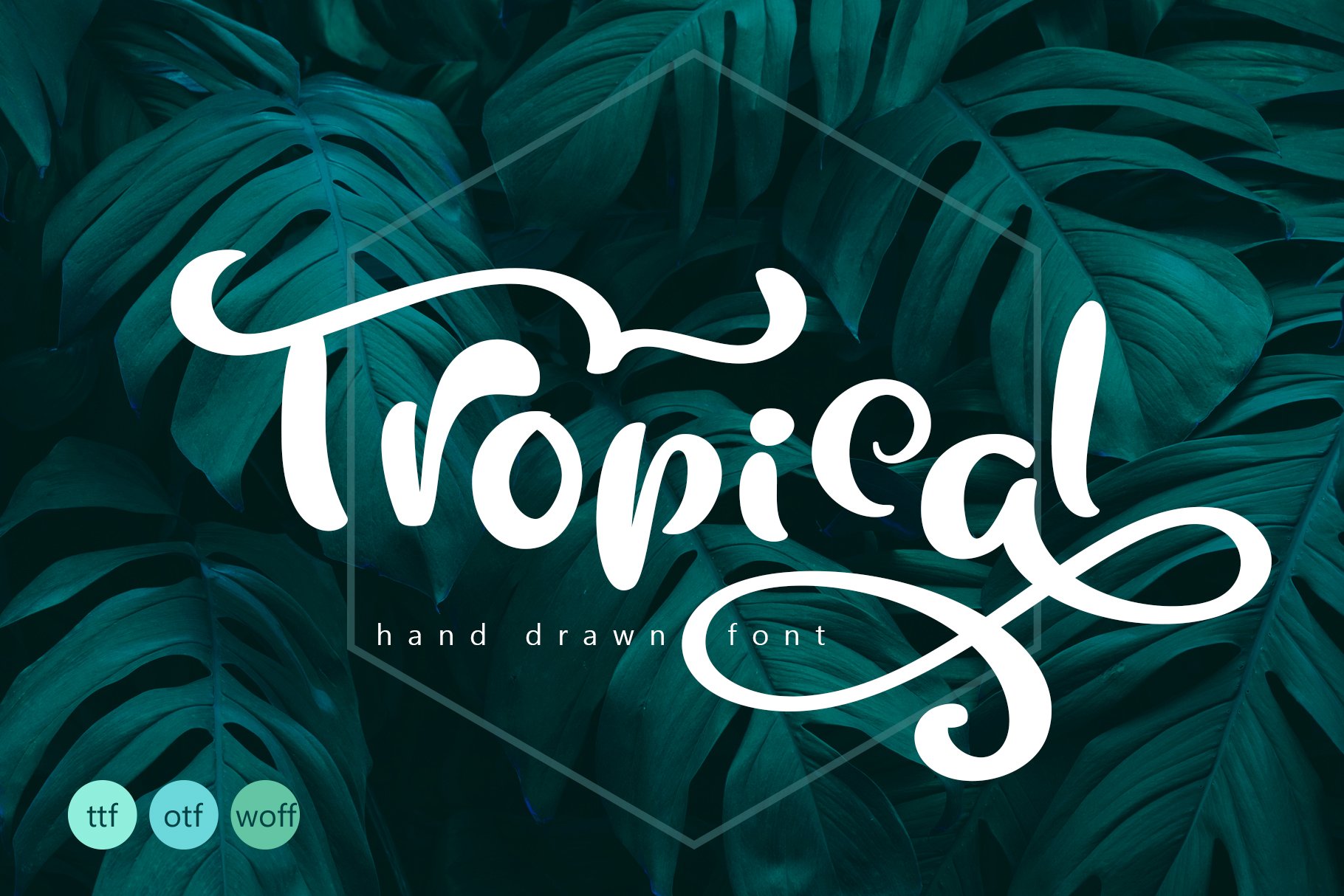 Tropical Summer Font cover image.