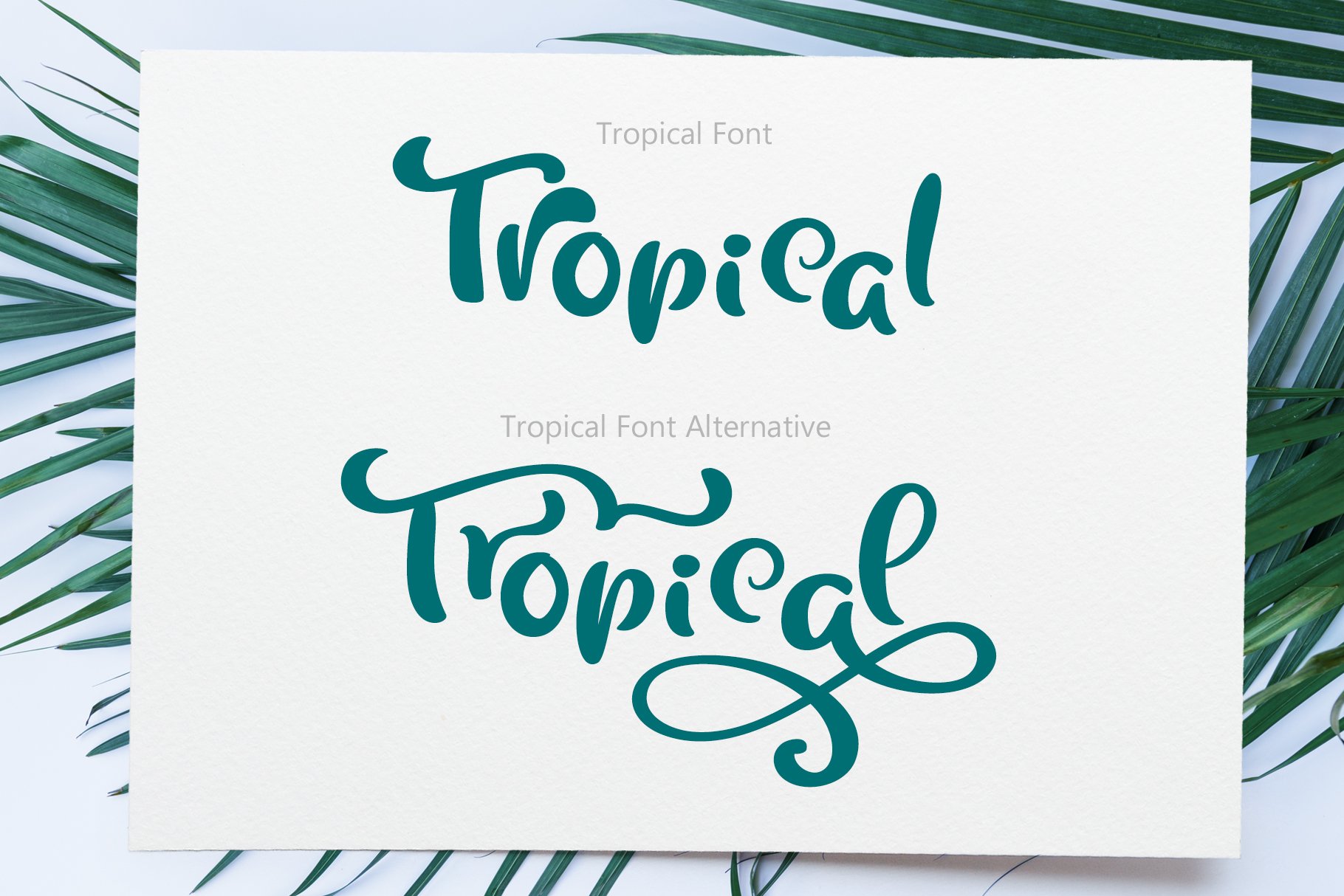 Tropical Summer Font preview image.