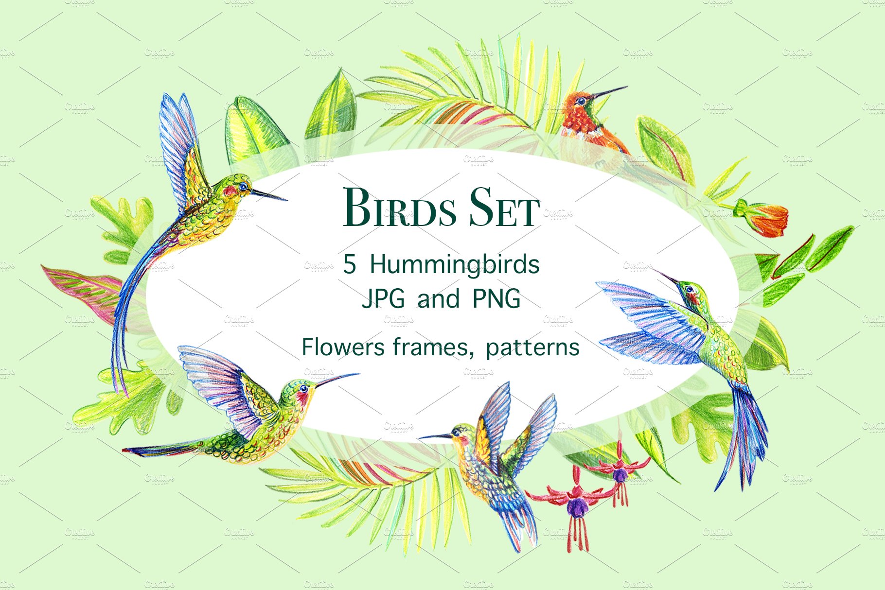 Hummingbirds. Tropical birds. cover image.