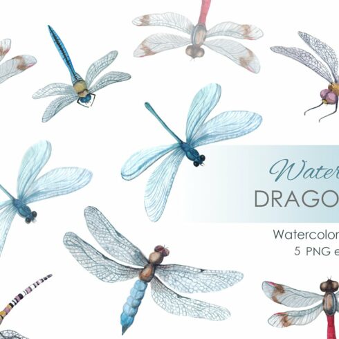 Watercolor Clipart Digital dragonfly cover image.