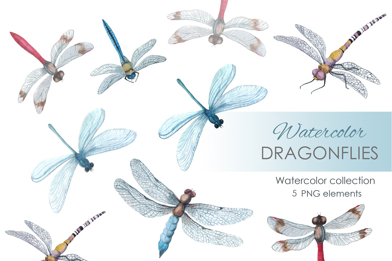 Watercolor Clipart Digital dragonfly cover image.