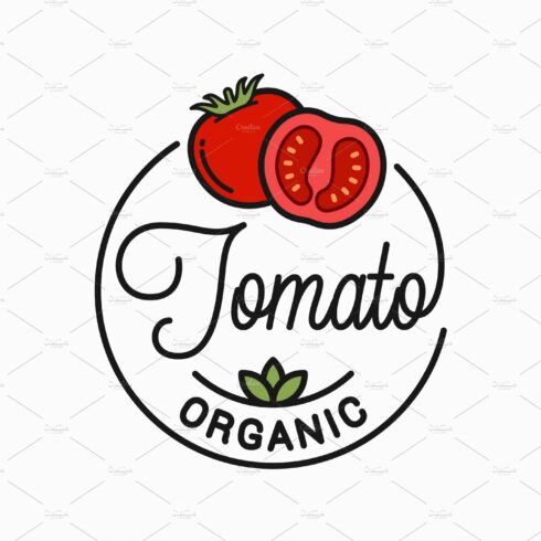 Tomato vegetable logo. cover image.