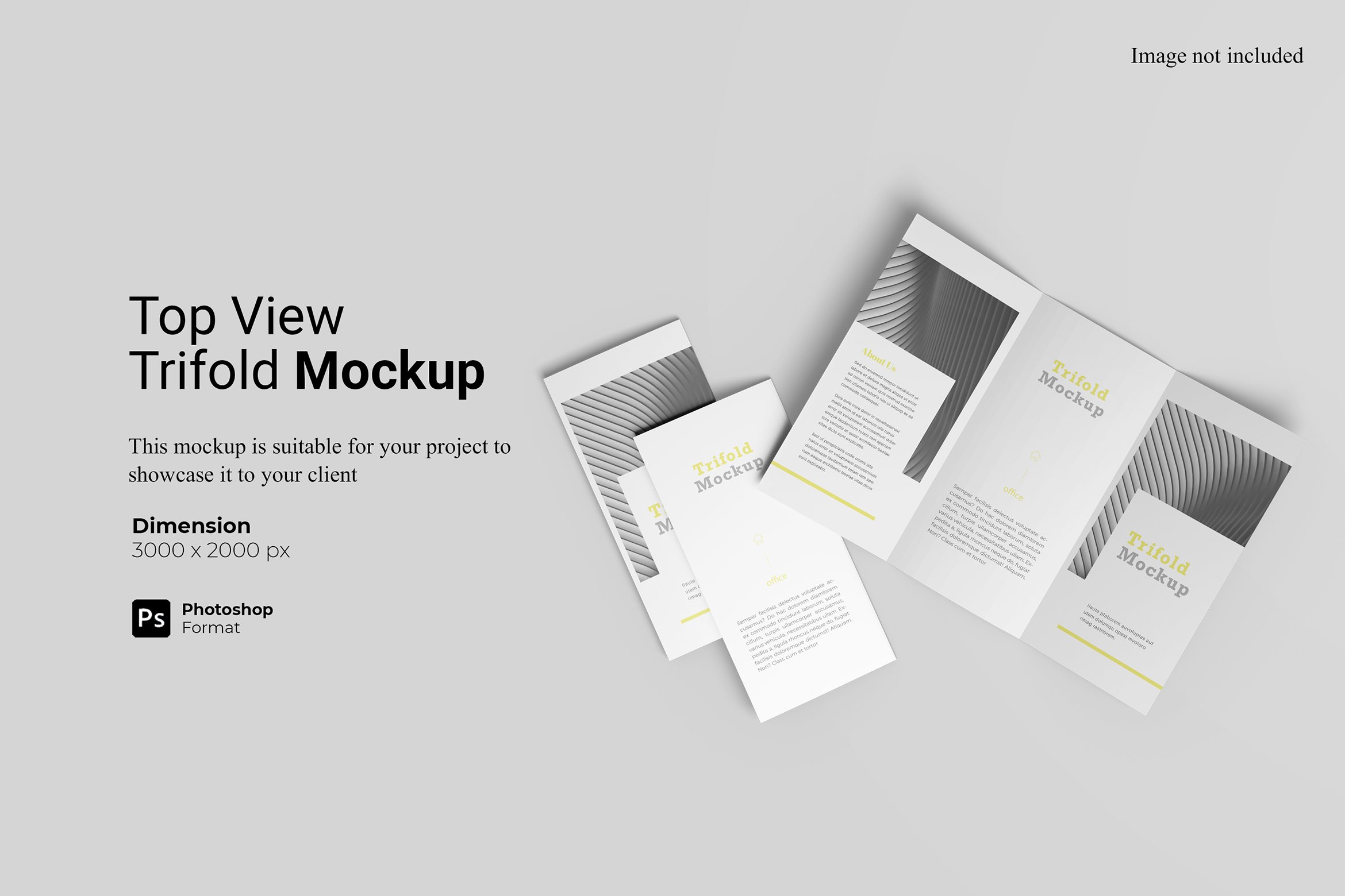 Top View Trifold Mockup cover image.