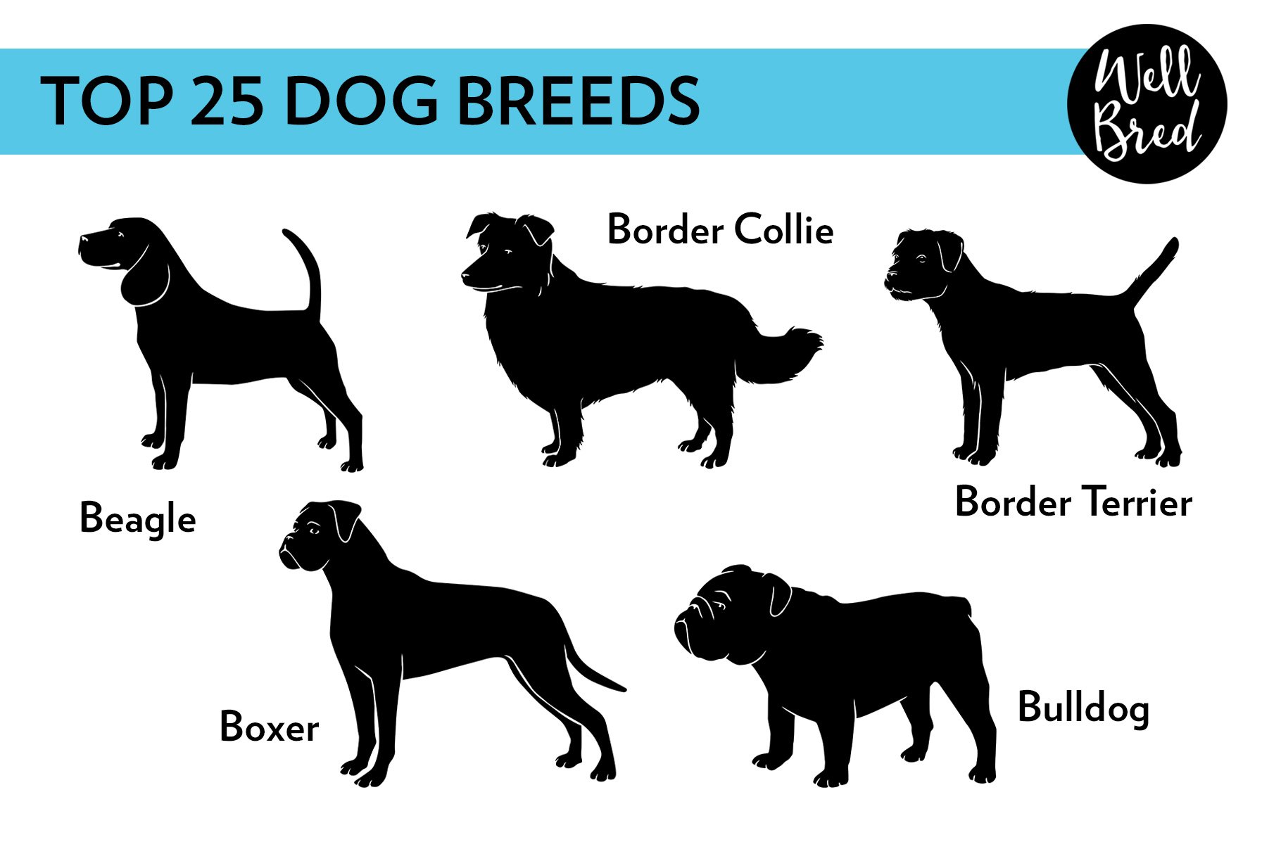 Top 25 Dog Breed Silhouettes cover image.