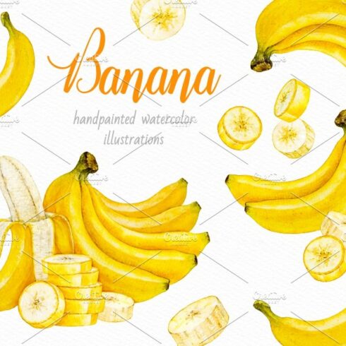 Banana. Watercolor. cover image.