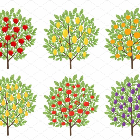 Types of fruit trees. Orchard set cover image.