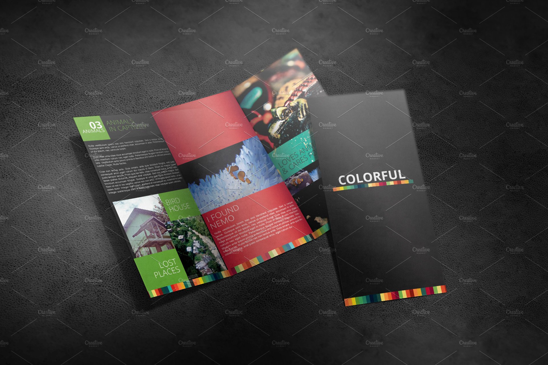 Tri Fold Brochure Mockup 01 cover image.