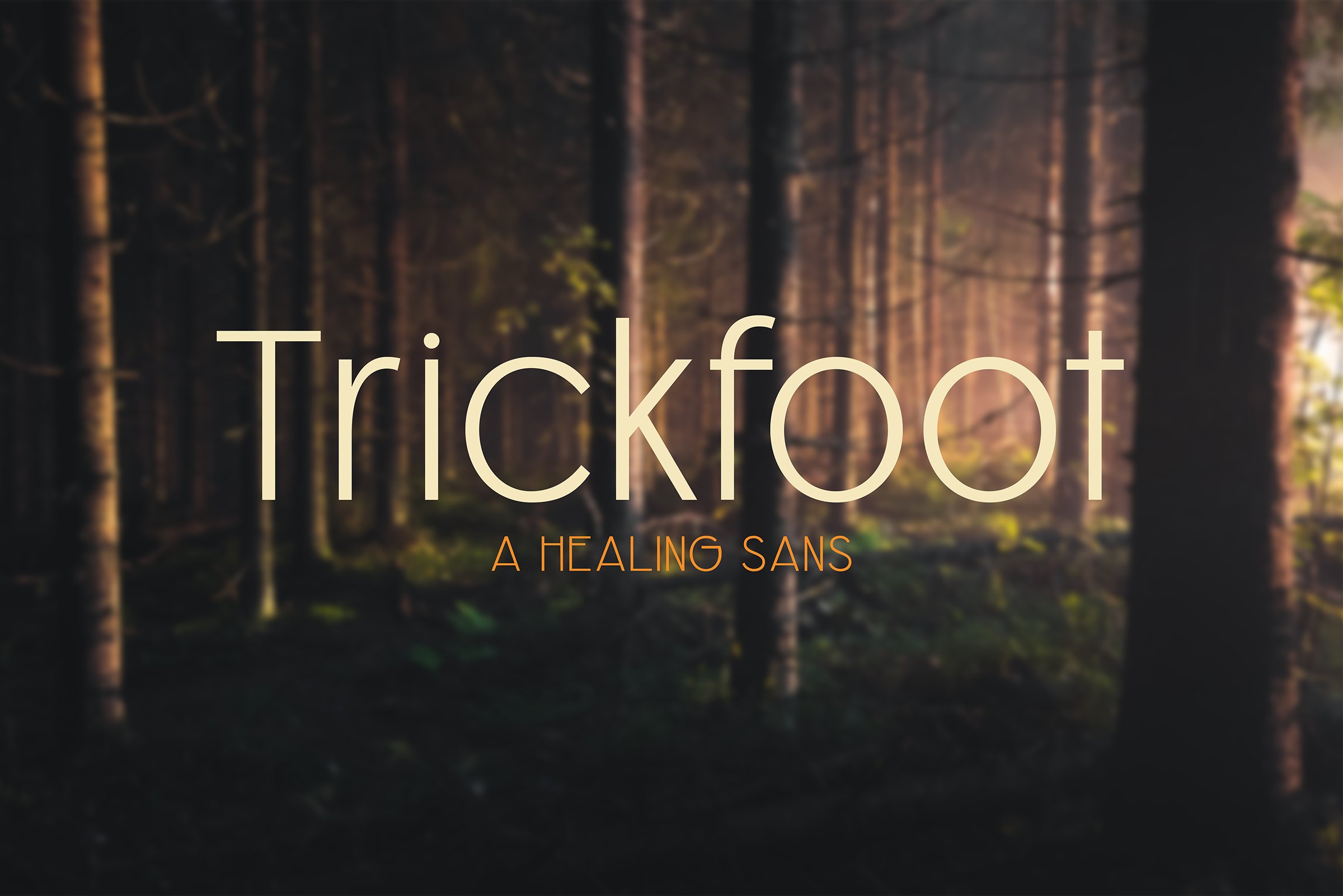 Trickfoot Light cover image.