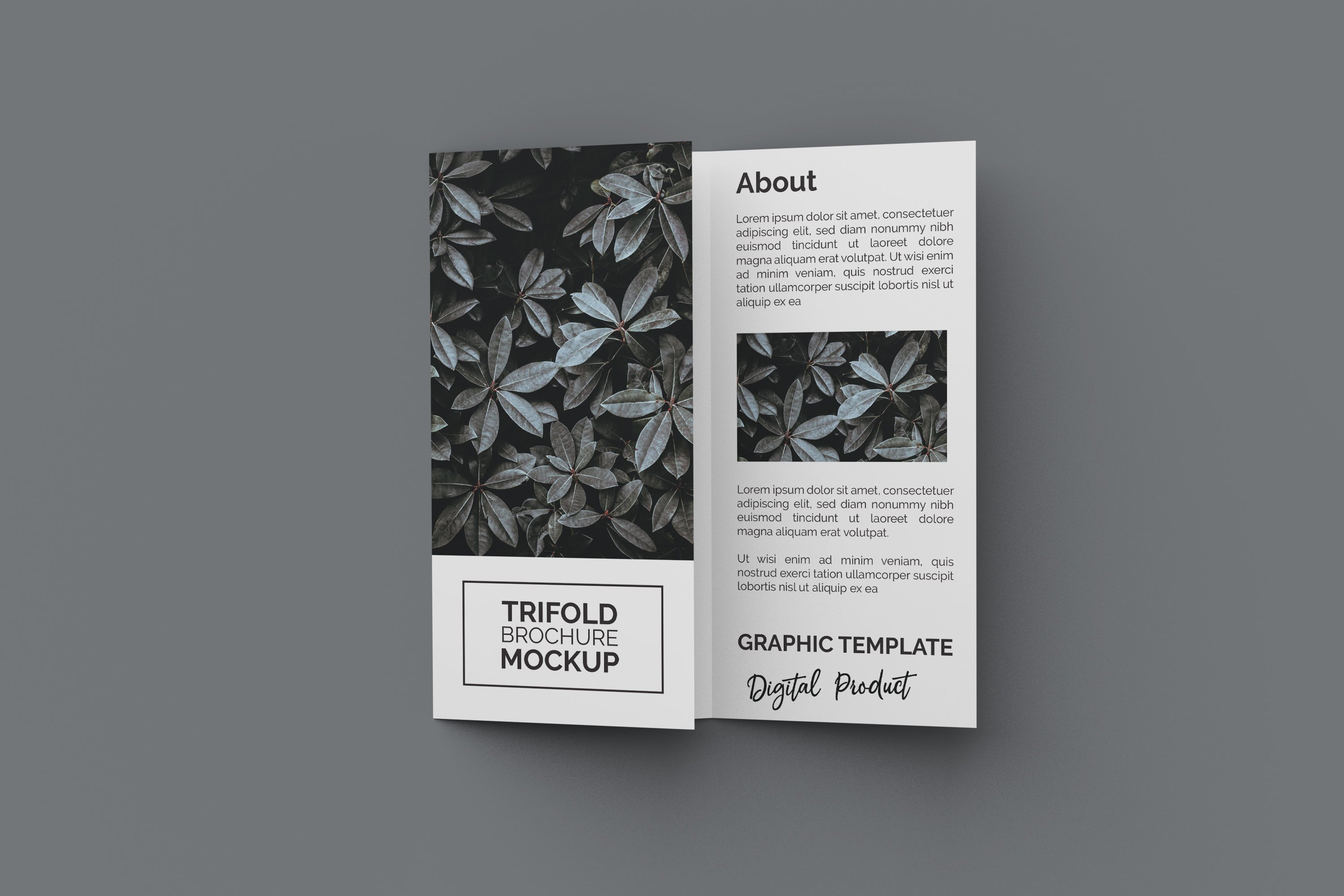 Trifold Brochure Mockup cover image.