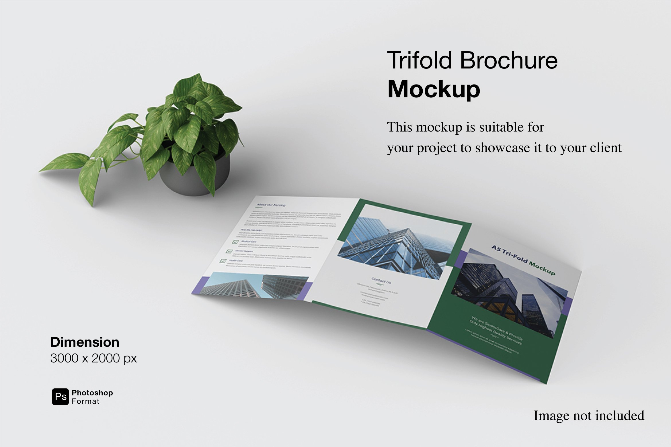 Trifold Brochure Mockup cover image.