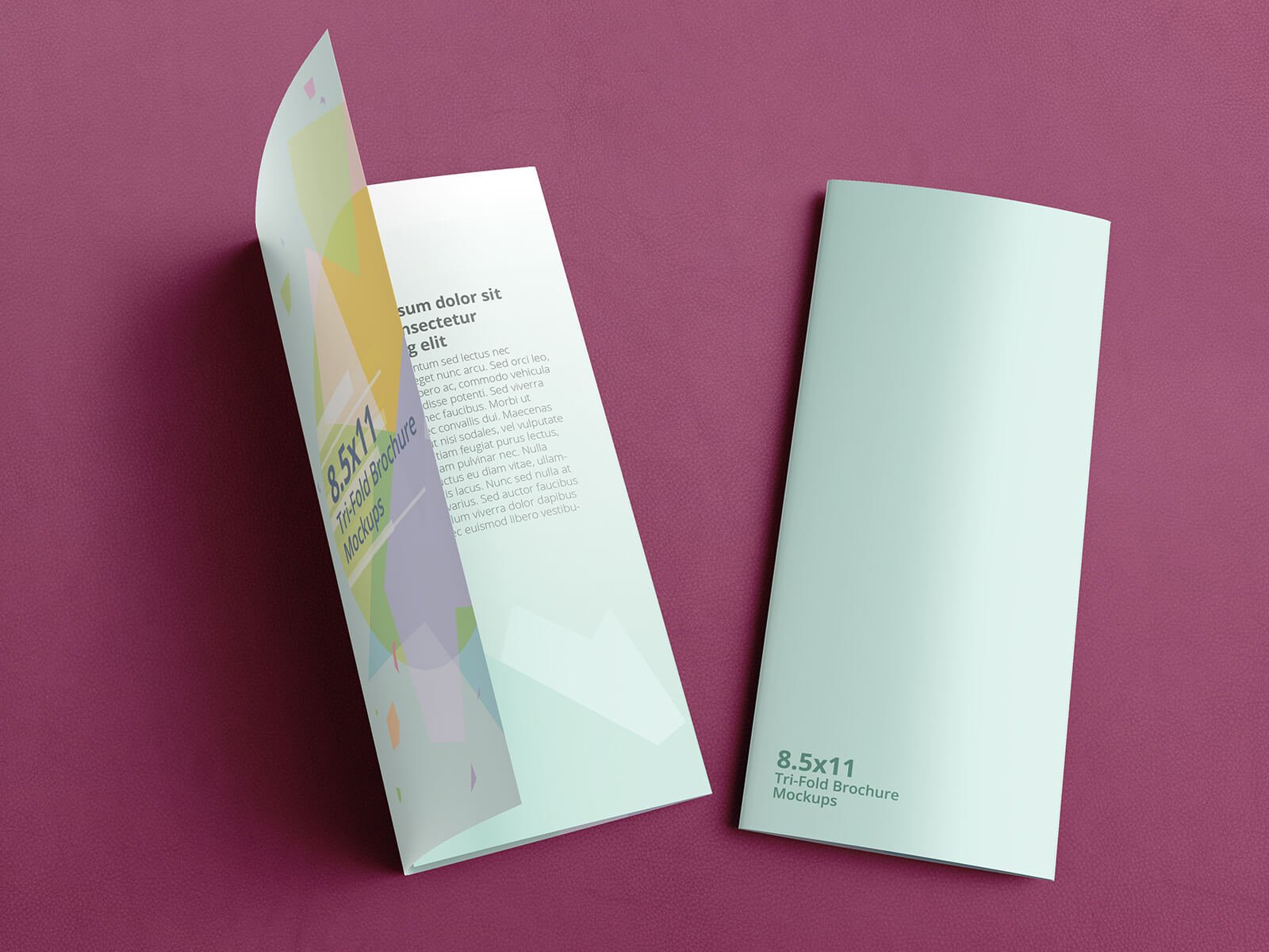 trifold brochure mockups 8.5x11 size 06 125