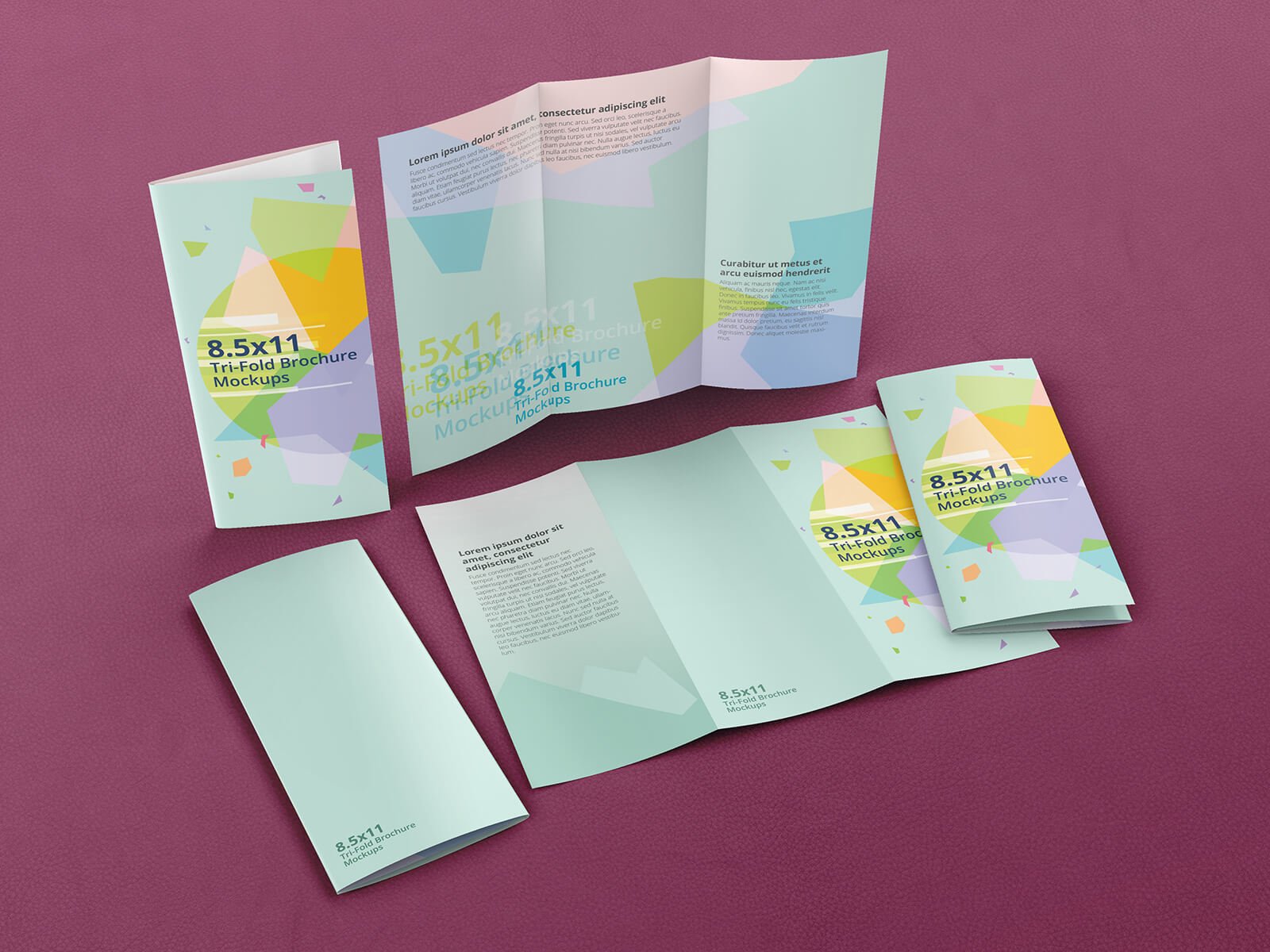 trifold brochure mockups 8.5x11 size 07 954