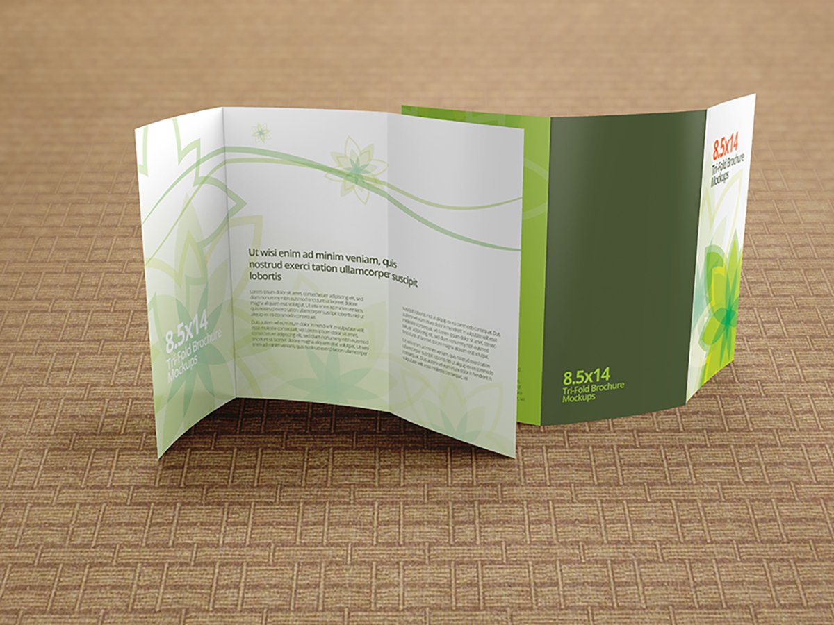 trifold brochure mockups 8.5x14 size 05 155