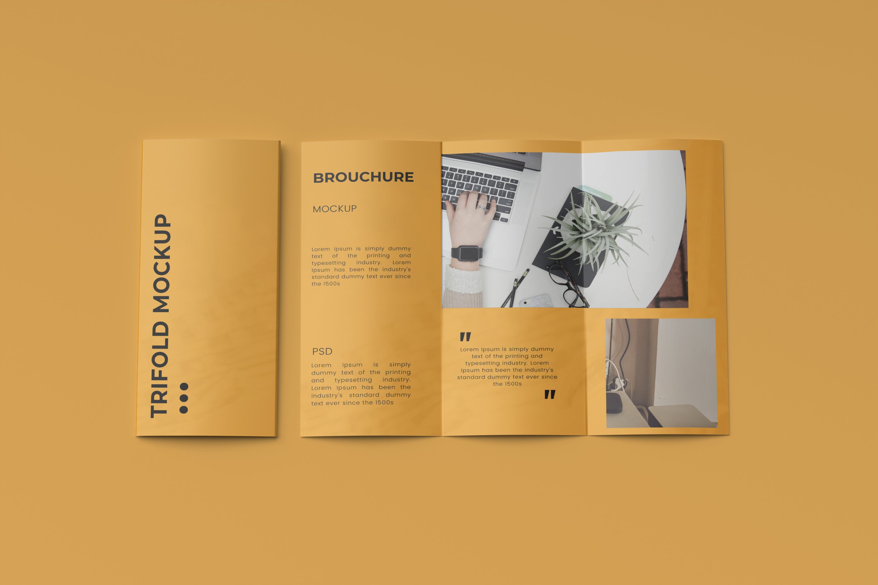 trifold mockup 11 58