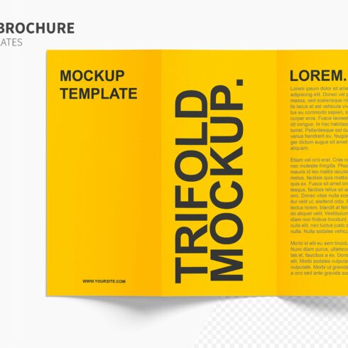 Trifold Brochure mockups vol.01 FH cover image.