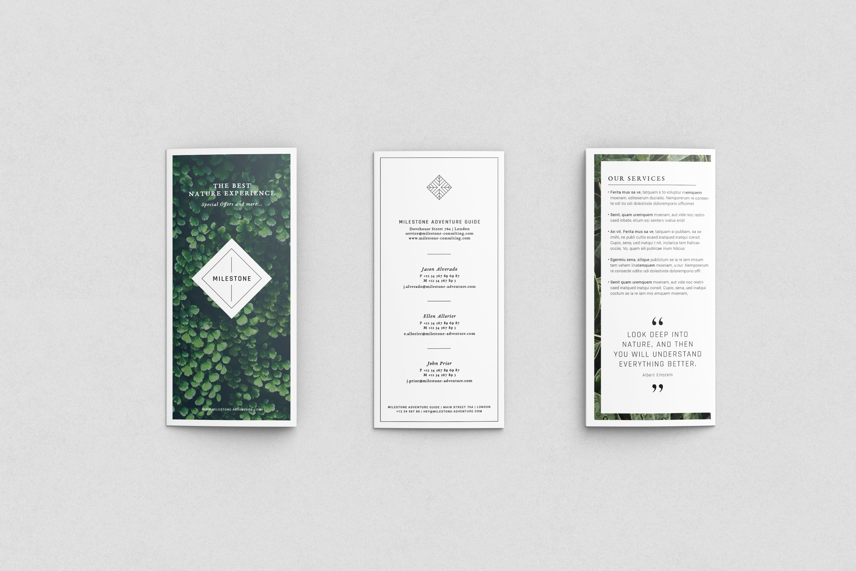 Trifold Brochure Mockups preview image.