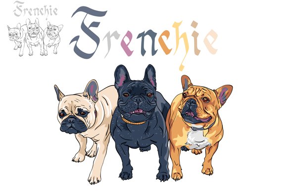 Three dogs French Bulldog cover image.