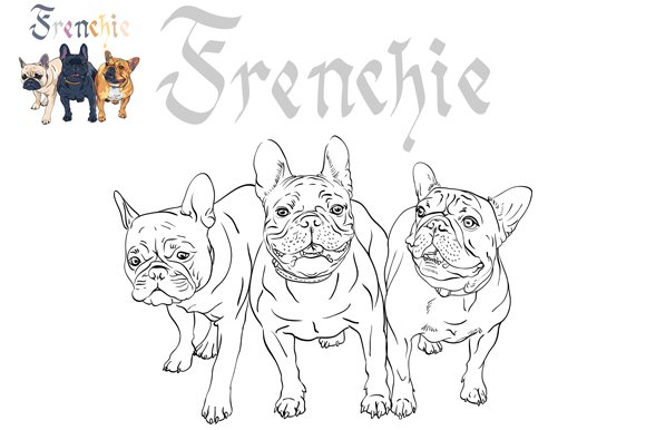 Three dogs French Bulldog preview image.