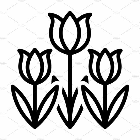 Tulip spring blooming icon cover image.