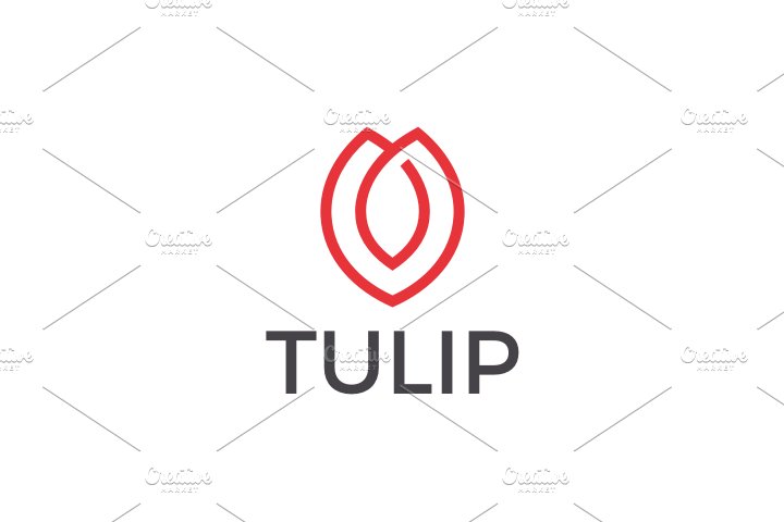 Tulip cover image.