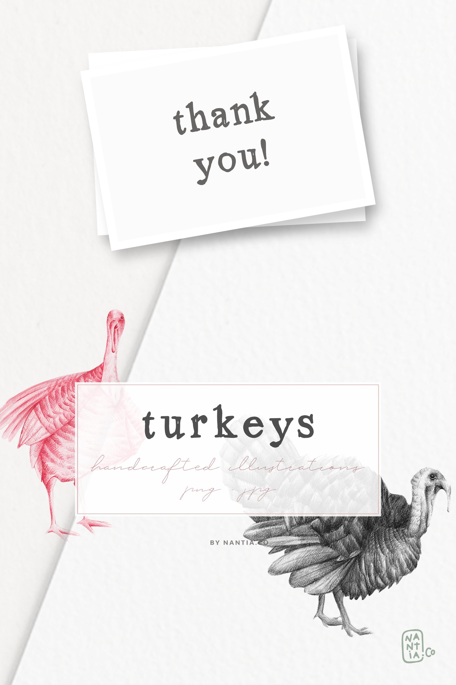 turkey handdrawn illustration nantiaco 15 314