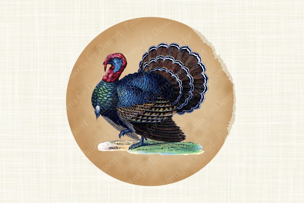 Vintage Thanksgiving Turkey Clip Art – MasterBundles