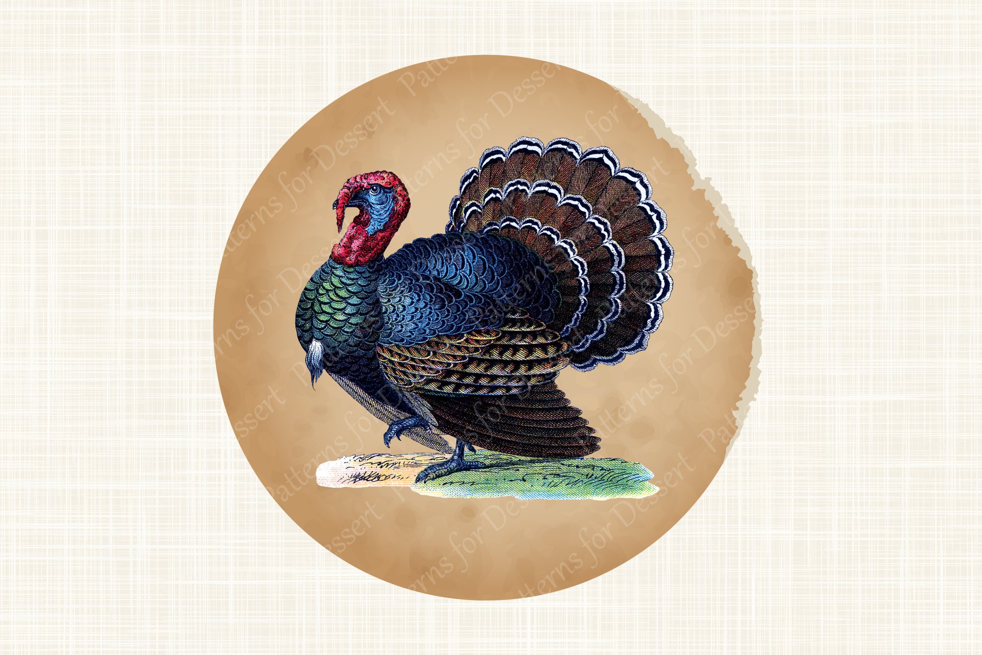 turkey mockup3 443