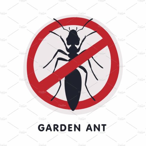 Garden Ant Harmful Insect cover image.