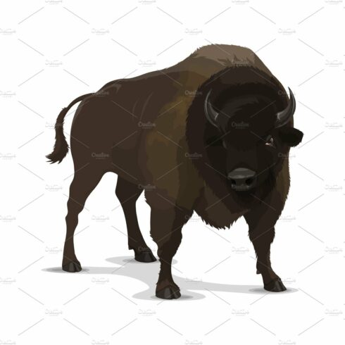 Big cartoon bison wild animal cover image.
