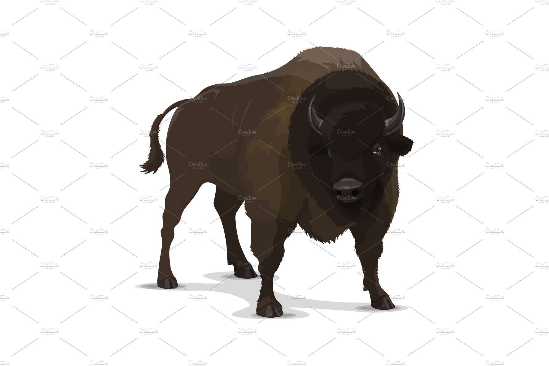 Big cartoon bison wild animal cover image.