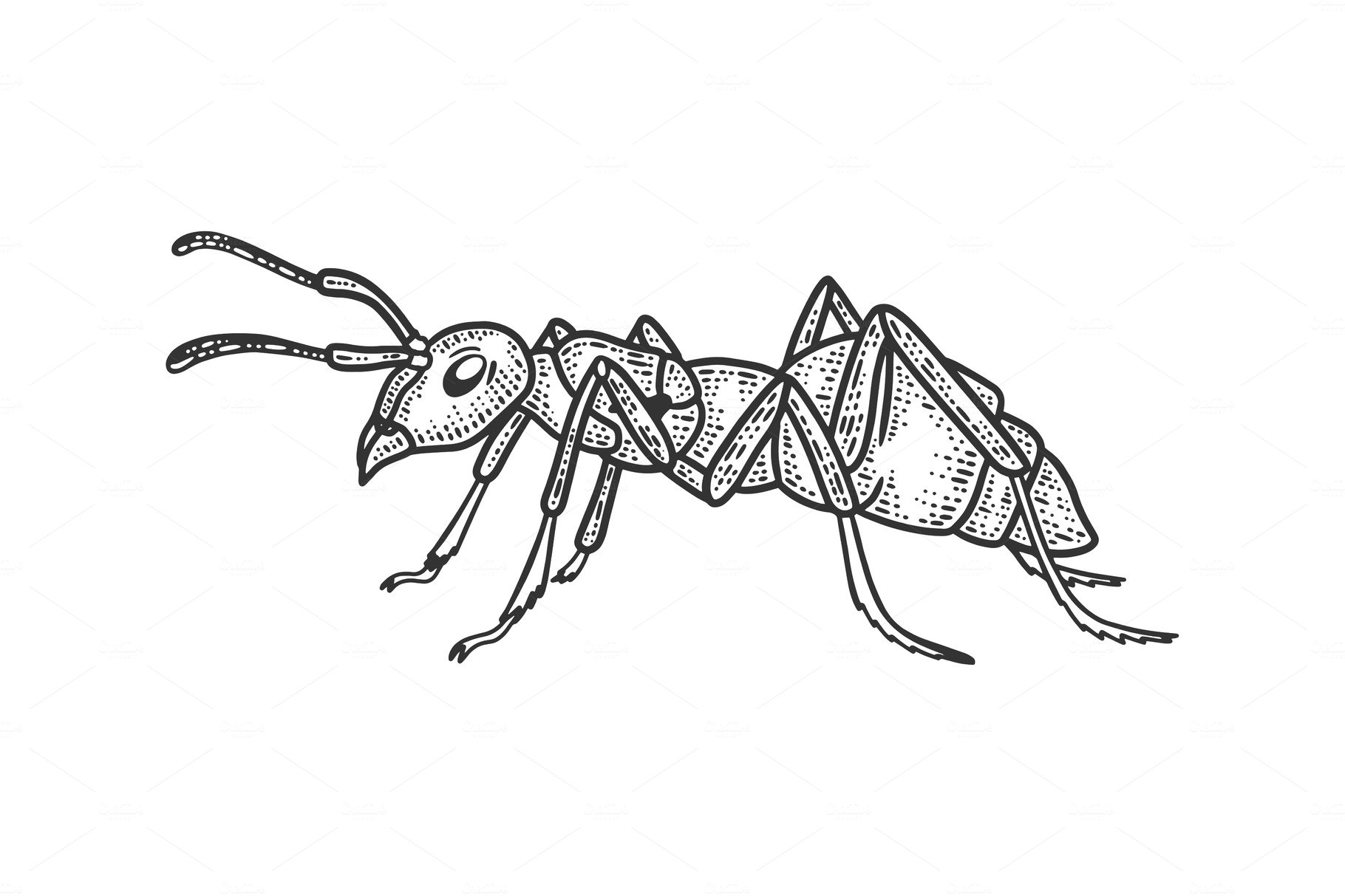Ant insect sketch vector cover image.