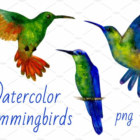 Hummingbirds Watercolor cover image.