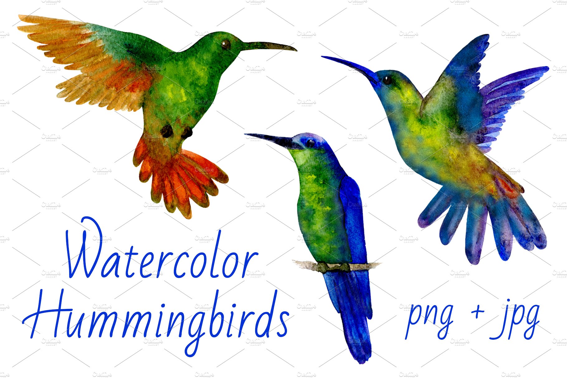 Hummingbirds Watercolor cover image.