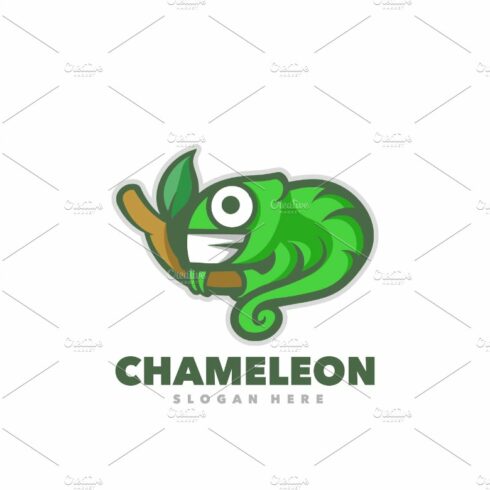Chameleon funny cover image.