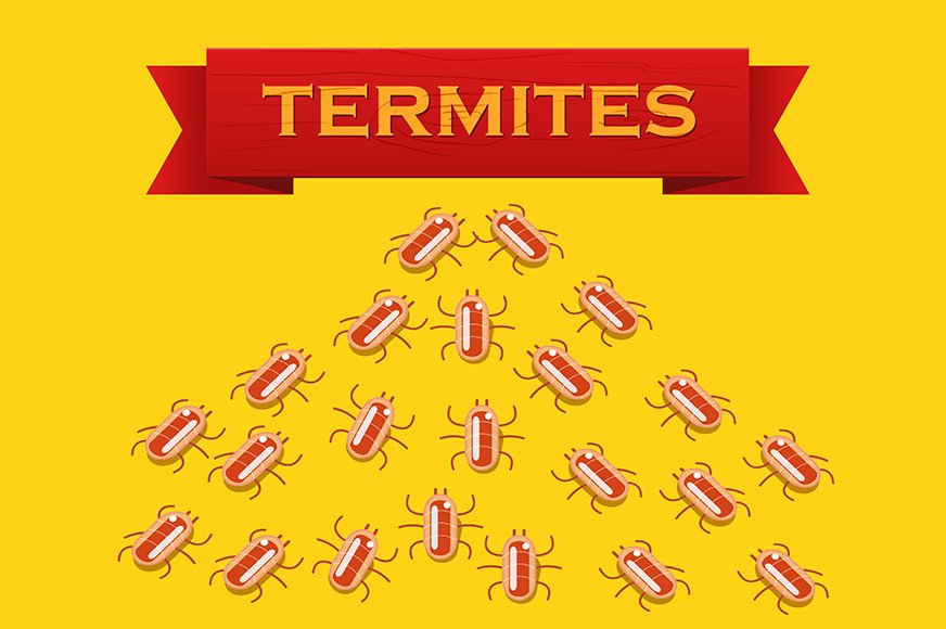 Red colony of termites cover image.
