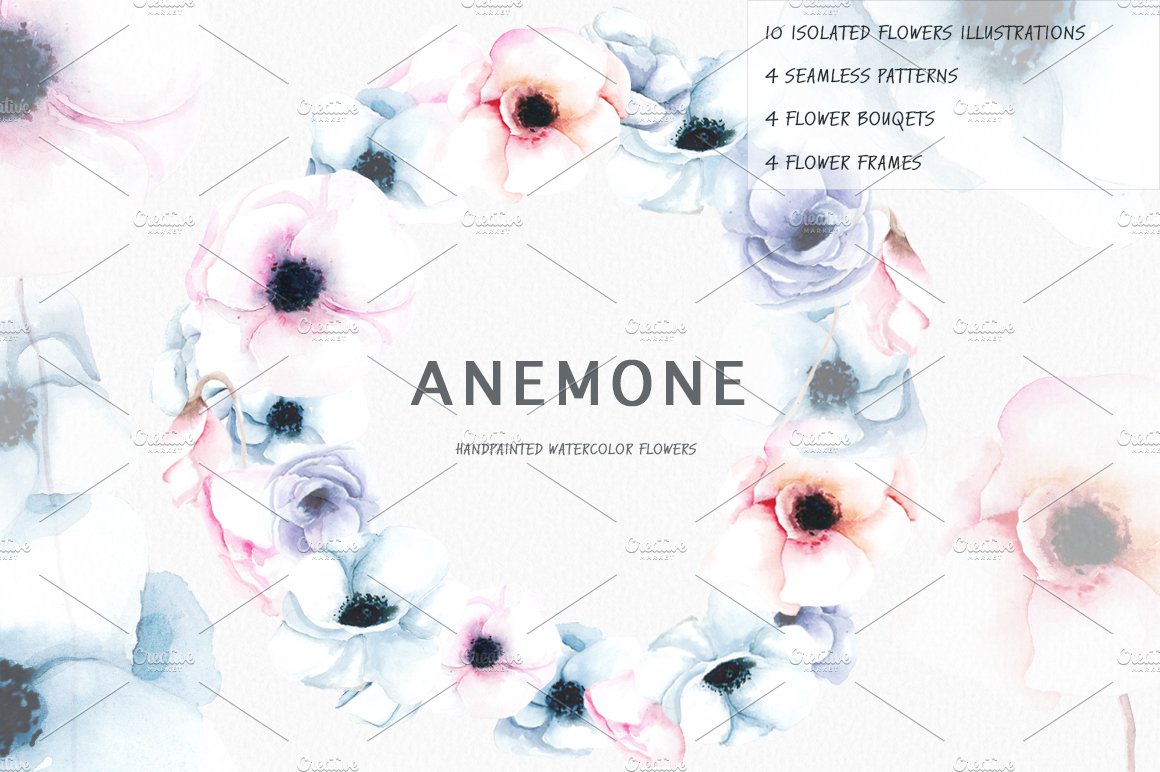 Anemone. Watercolor illustration. cover image.