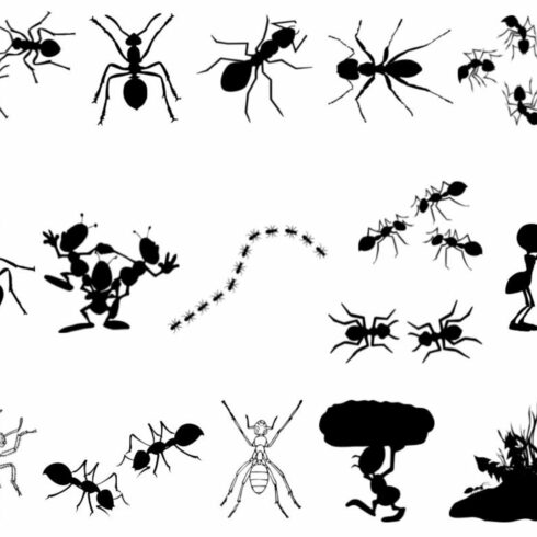 Ant Silhouette cover image.