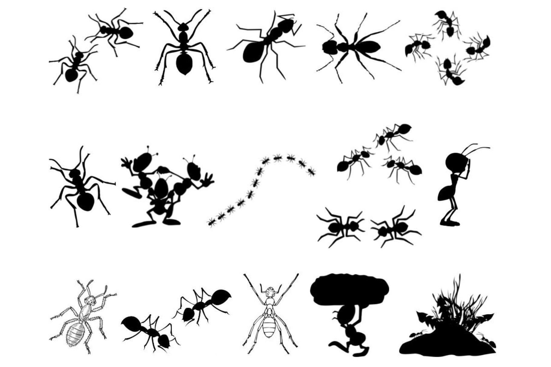 Ant Silhouette cover image.