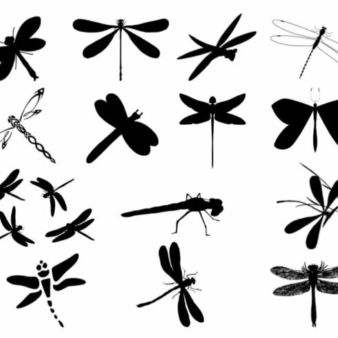 Dragonfly Silhouette cover image.