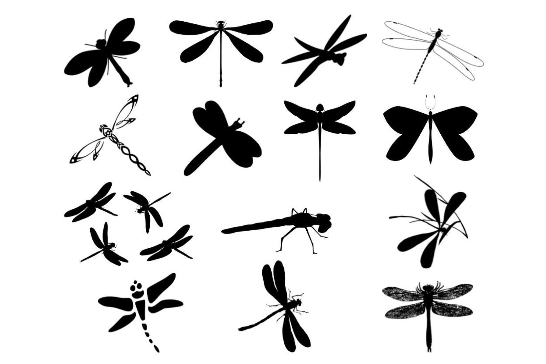 Dragonfly Silhouette cover image.