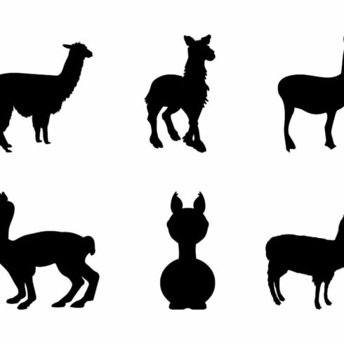 Llama Silhouette cover image.