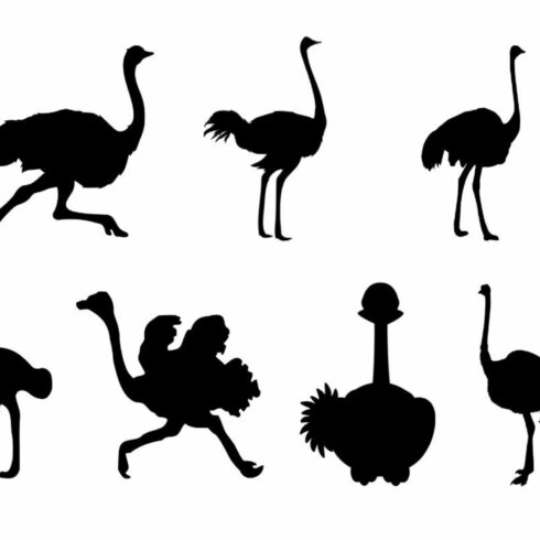 Ostrich Silhouette cover image.