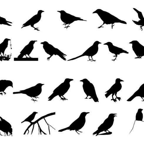 Crow SVG cover image.