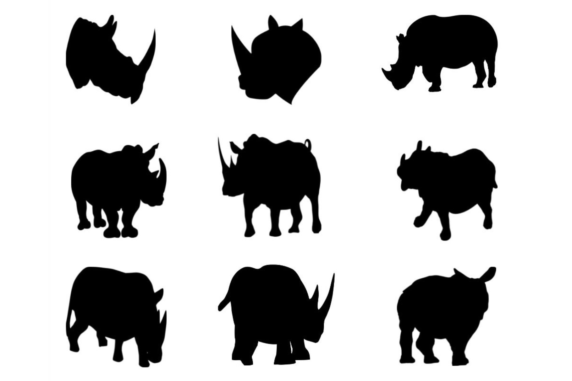 Rhino Silhouette cover image.