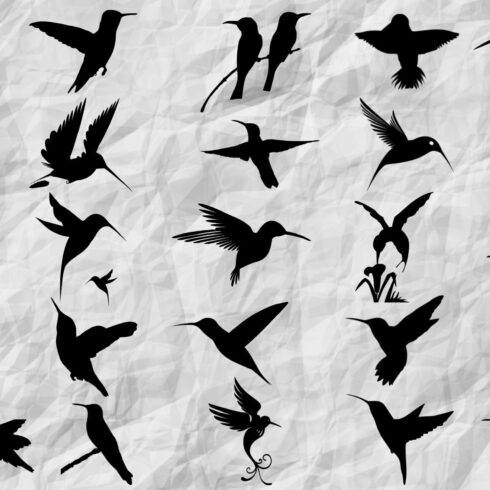 Hummingbird Silhouette cover image.